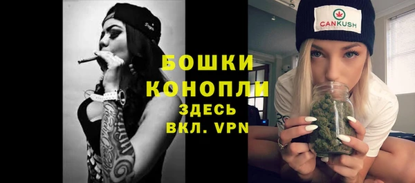 дживик Белоозёрский