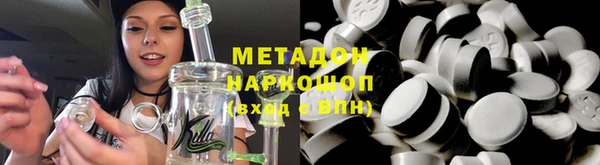 прущие грибы Беломорск
