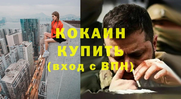 прущие грибы Беломорск