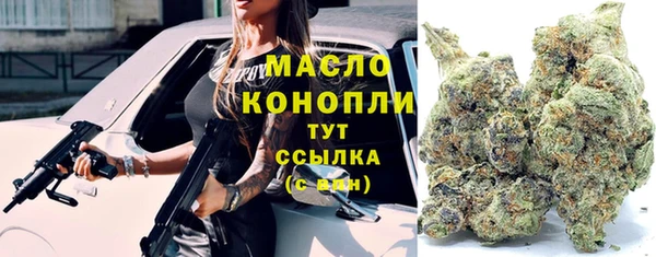 прущие грибы Беломорск