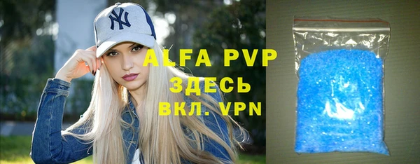 прущие грибы Беломорск